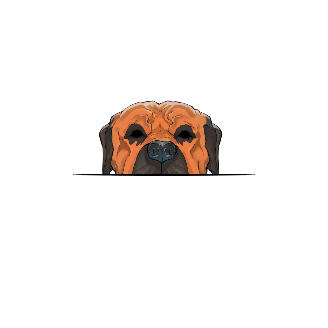 BOERBOEL ANIME
