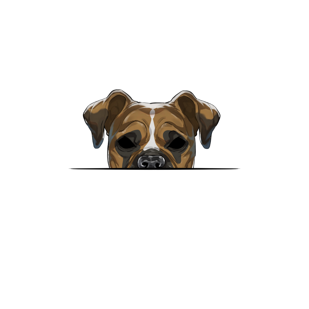 BOXER ANIME