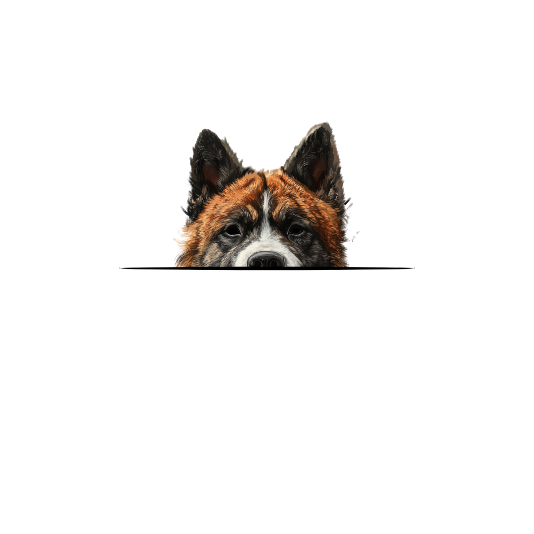 AKITA CLASSIC