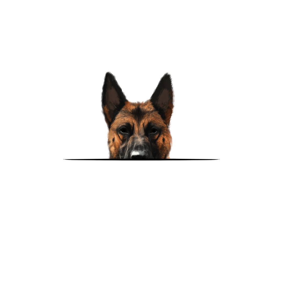 BELGIAN MALINOIS CLASSIC