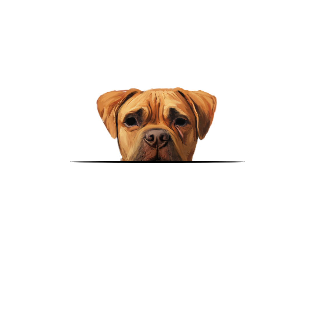 BOERBOEL CLASSIC