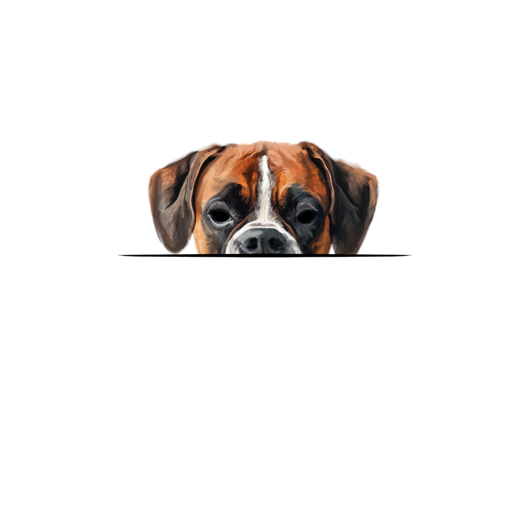 BOXER CLASSIC