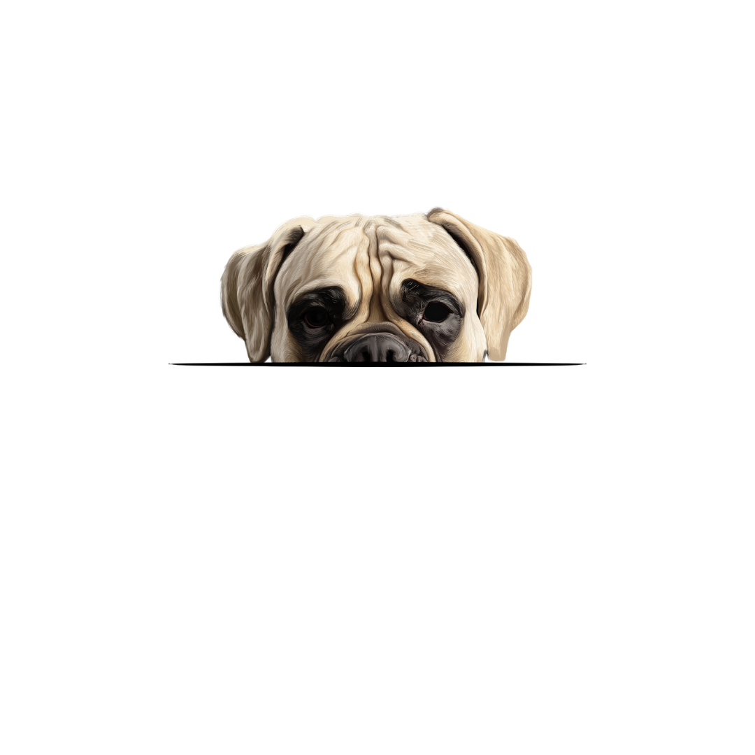 BULLMASTIFF CLASSIC