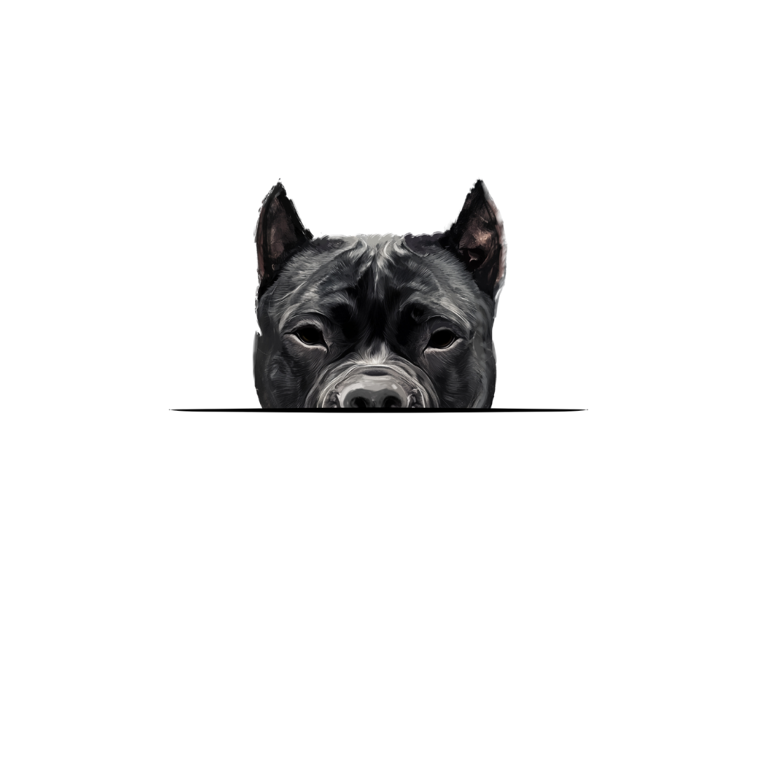 CANE CORSO CLASSIC