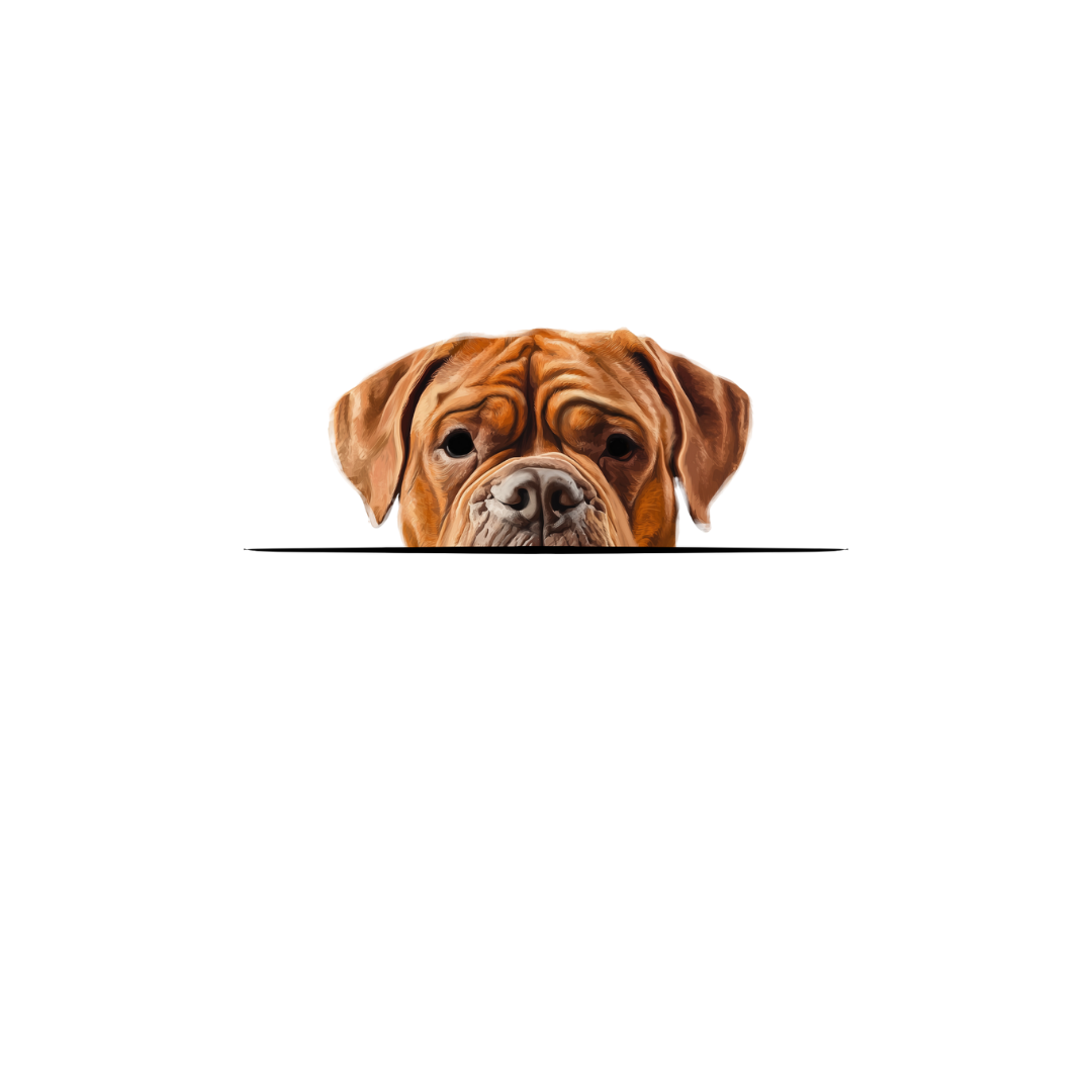 DOGUE DE BORDEAUX CLASSIC