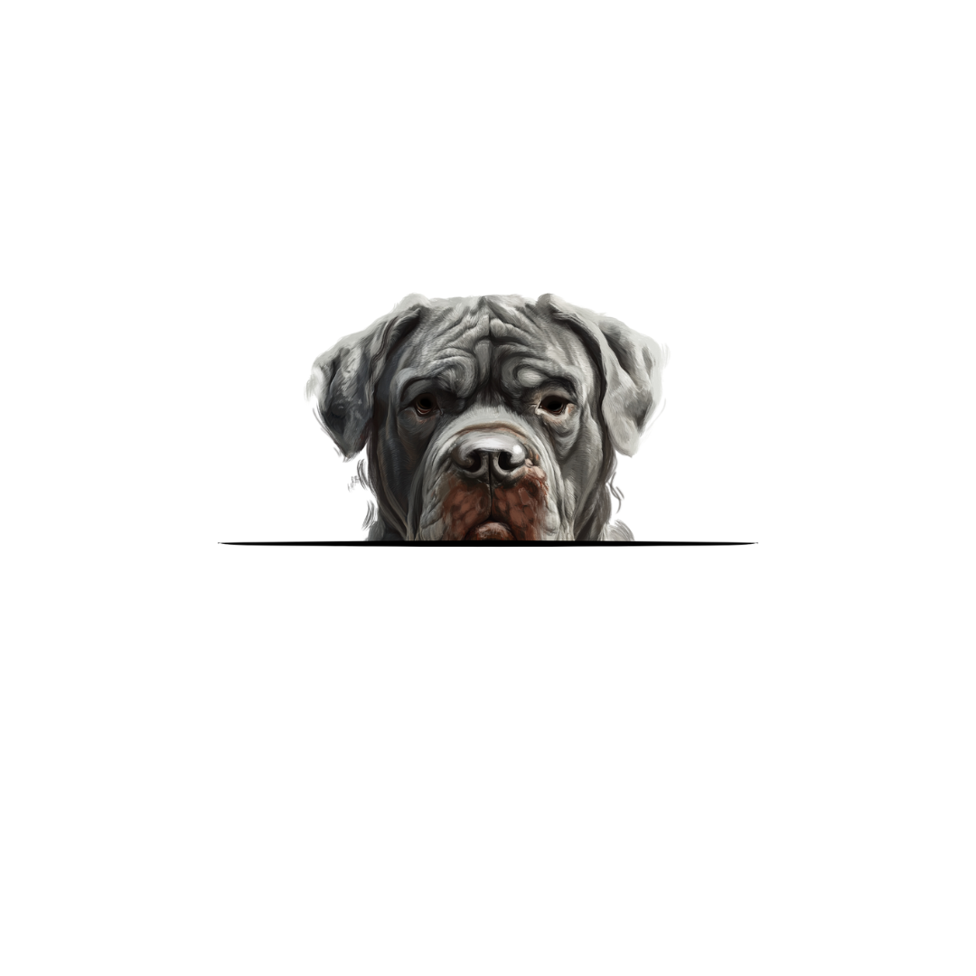 NEAPOLITAN MASTIFF CLASSIC