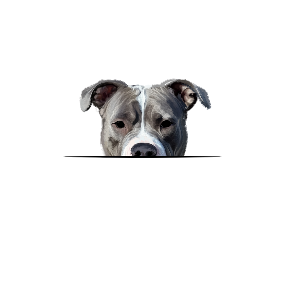 AMERICAN PIT BULL CLASSIC