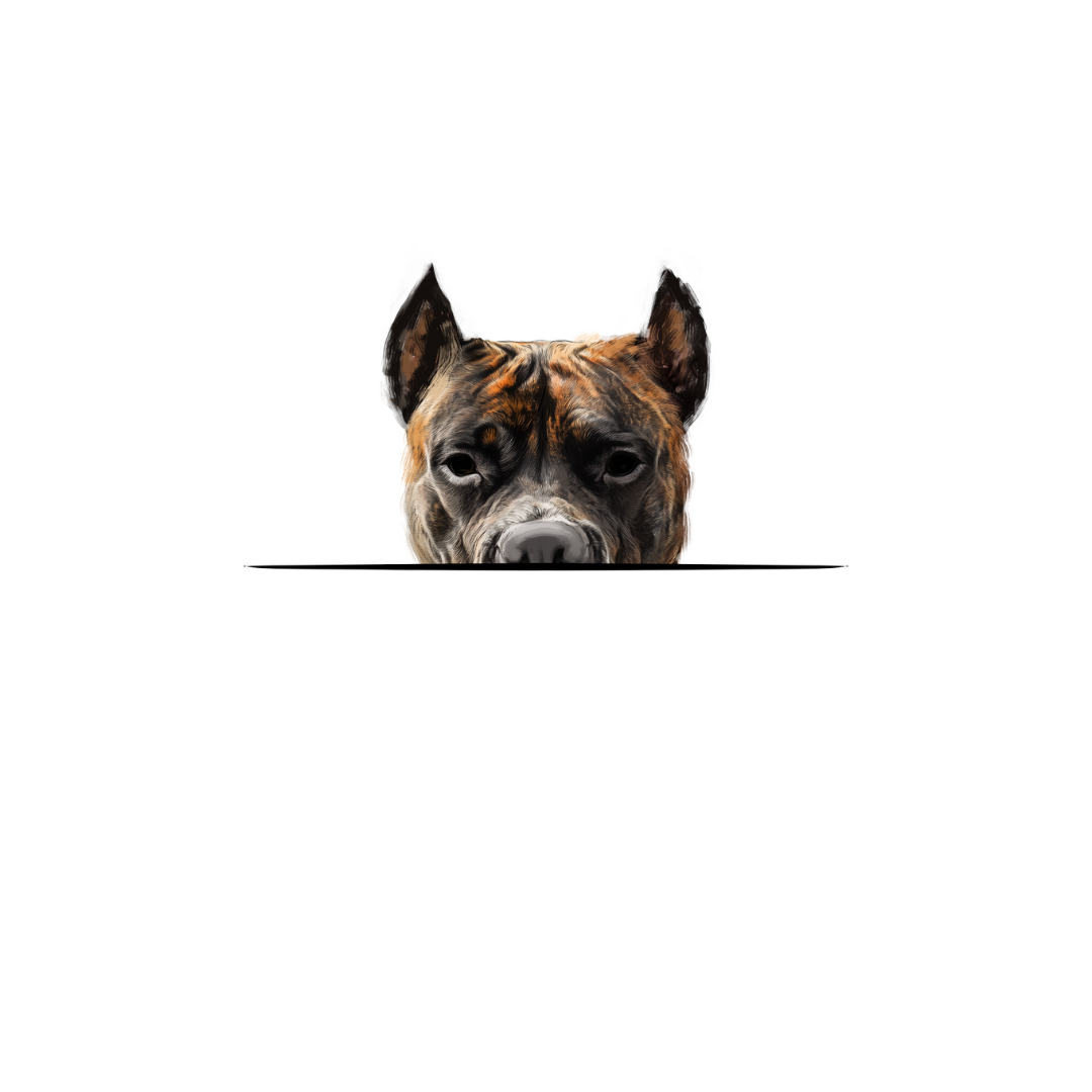 PRESA CANARIO CLASSIC