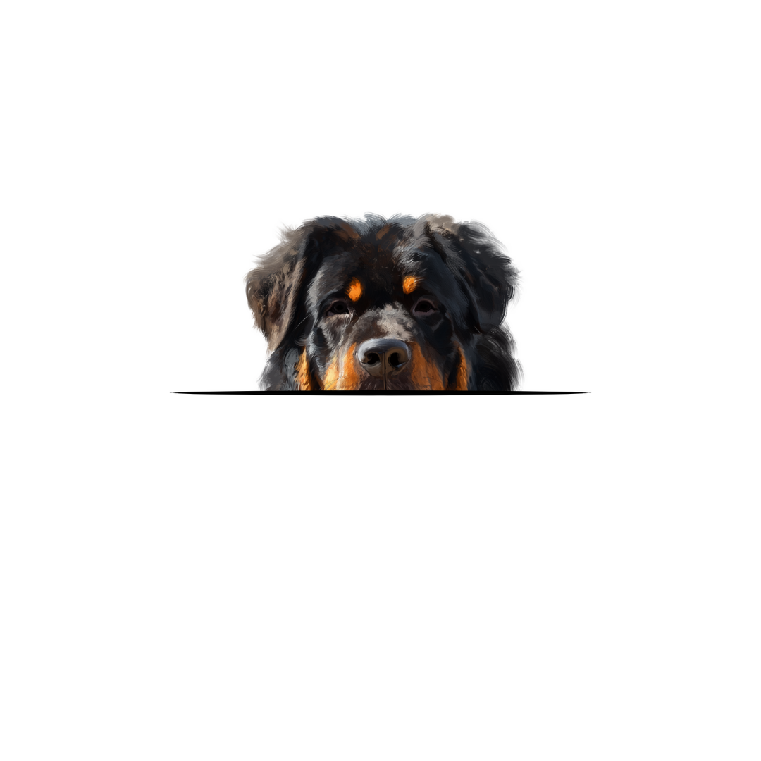 TIBETAN MASTIFF CLASSIC