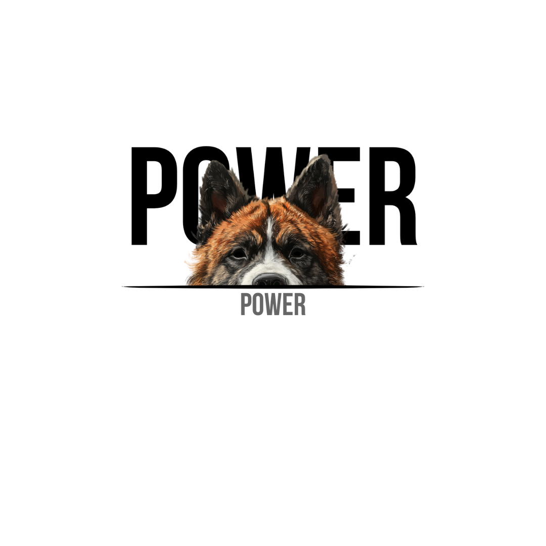 AKITA DOMINANCE