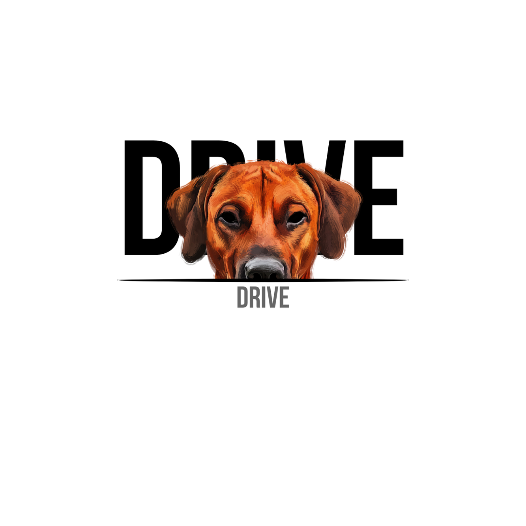 RHODESIAN RIDGEBACK DOMINANCE