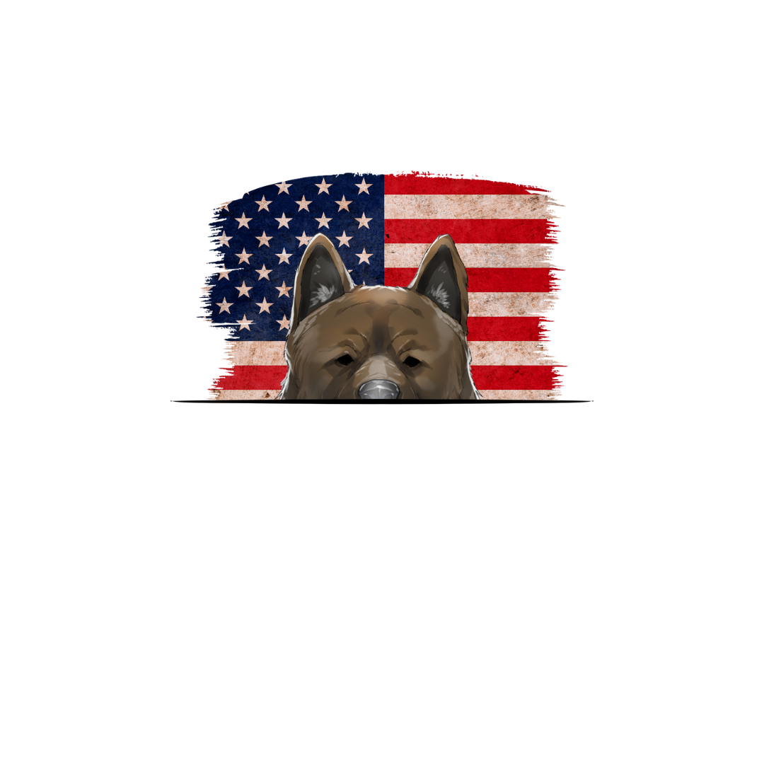 AKITA ORIGINS