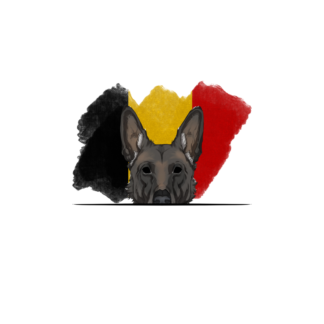 BELGIAN MALINOIS ORIGINS