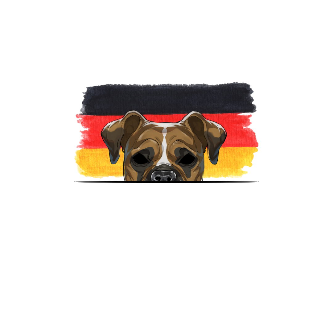 BOXER ORIGINS