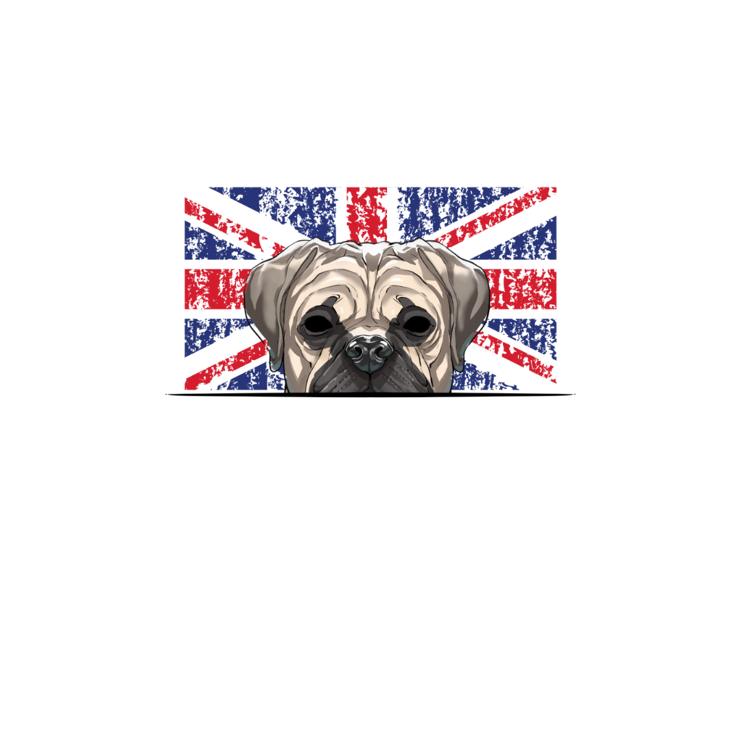 BULLMASTIFF ORIGINS