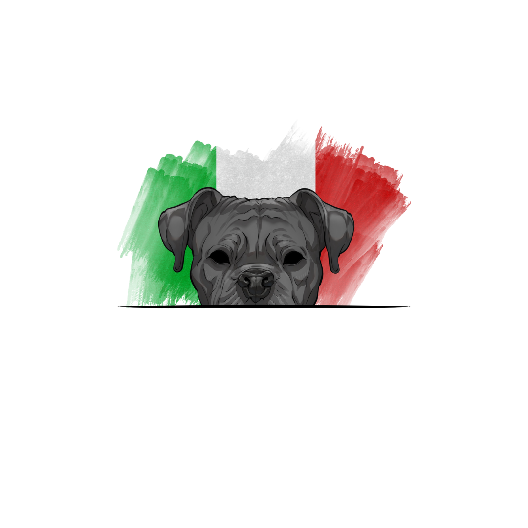CANE CORSO ORIGINS