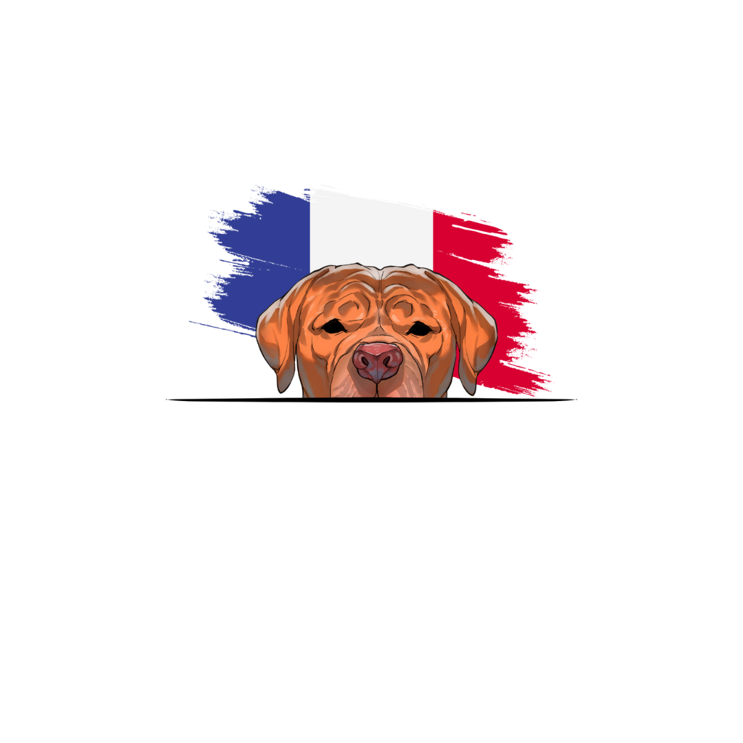DOGUE DE BORDEAUX ORIGINS