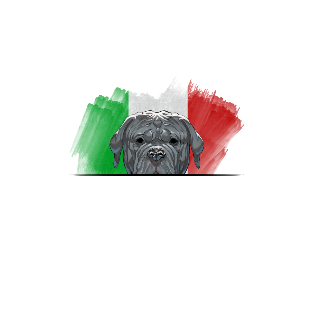 NEAPOLITAN MASTIFF ORIGINS