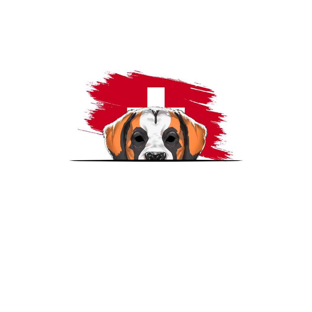 ST. BERNARD ORIGINS
