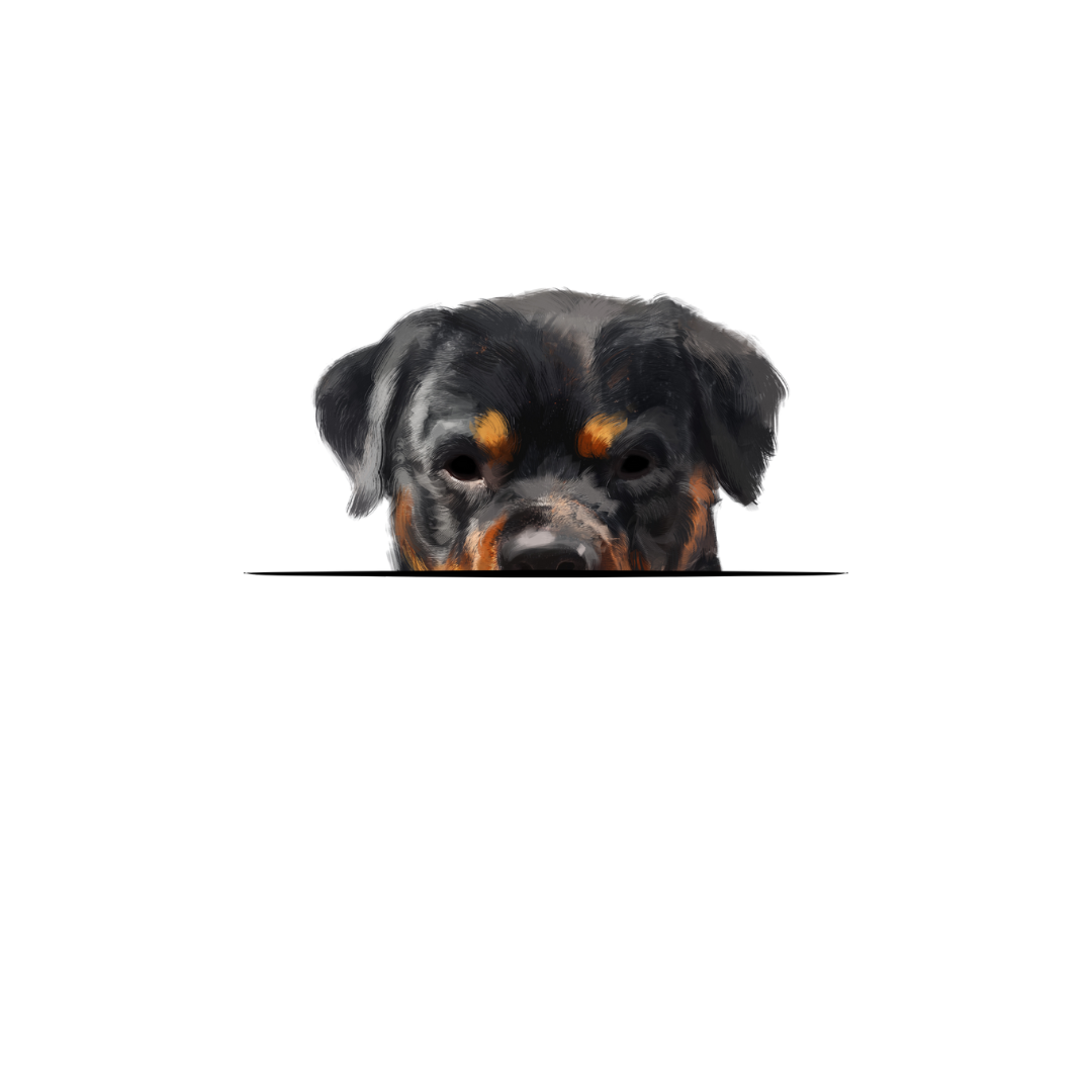 ROTTWEILER CLASSIC
