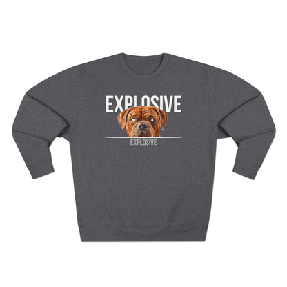 Dogue de Bordeaux (Dominance) Sweatshirt