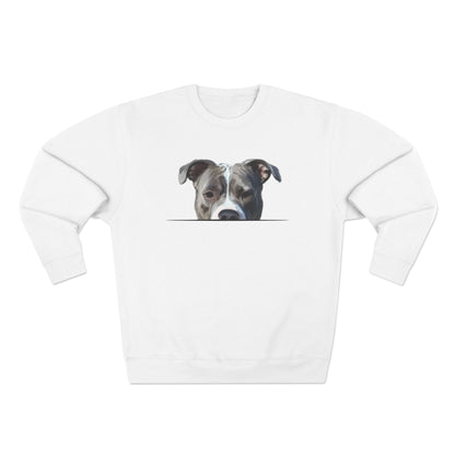 American Pit Bull Sweatshirt