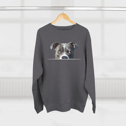 American Pit Bull Sweatshirt