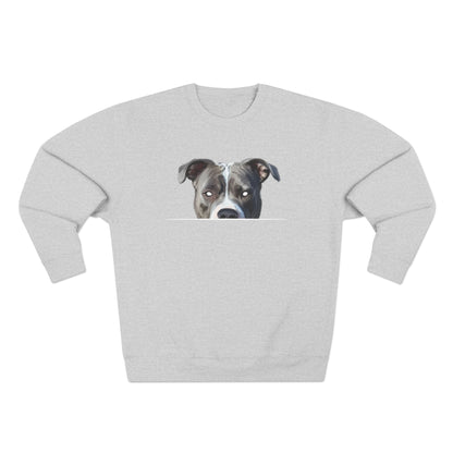 American Pit Bull Sweatshirt