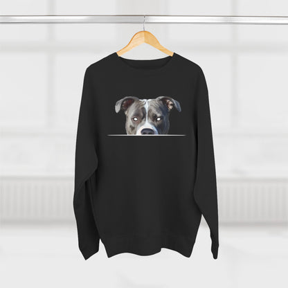 American Pit Bull Sweatshirt