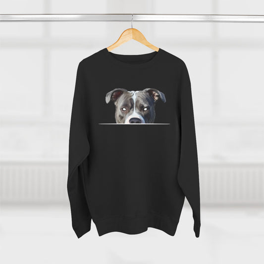 American Pit Bull Sweatshirt