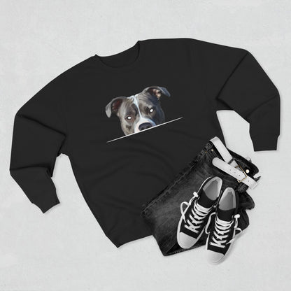 American Pit Bull Sweatshirt
