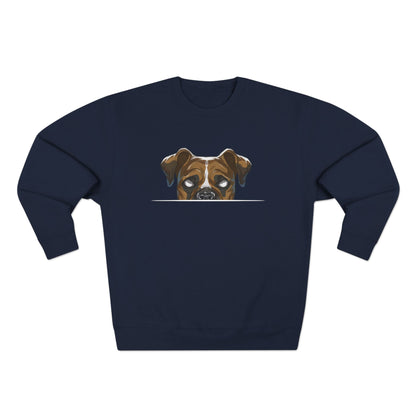 Boxer (Anime) Sweatshirt