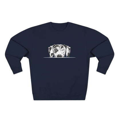 Great Dane (Anime) Sweatshirt