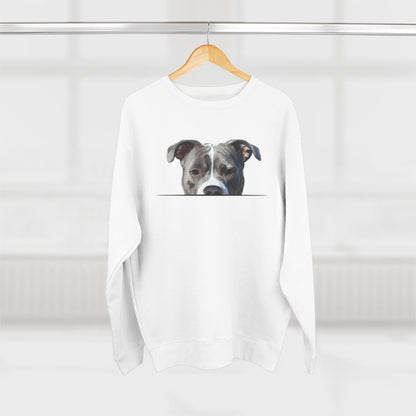 American Pit Bull Sweatshirt