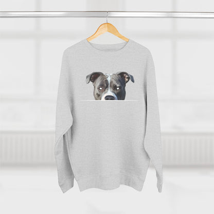American Pit Bull Sweatshirt